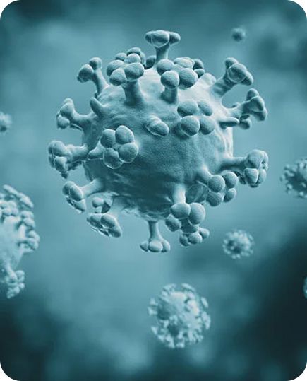 ���Ա���