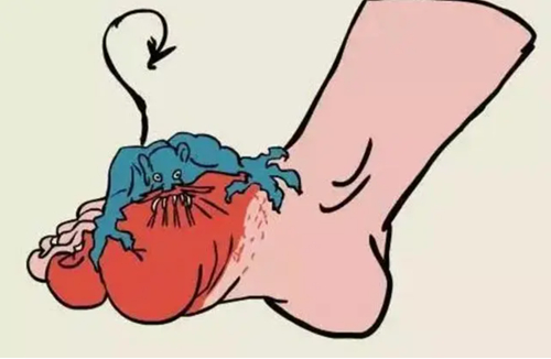 10  1 